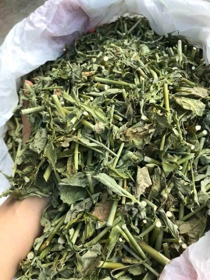 Cây xương khỉ