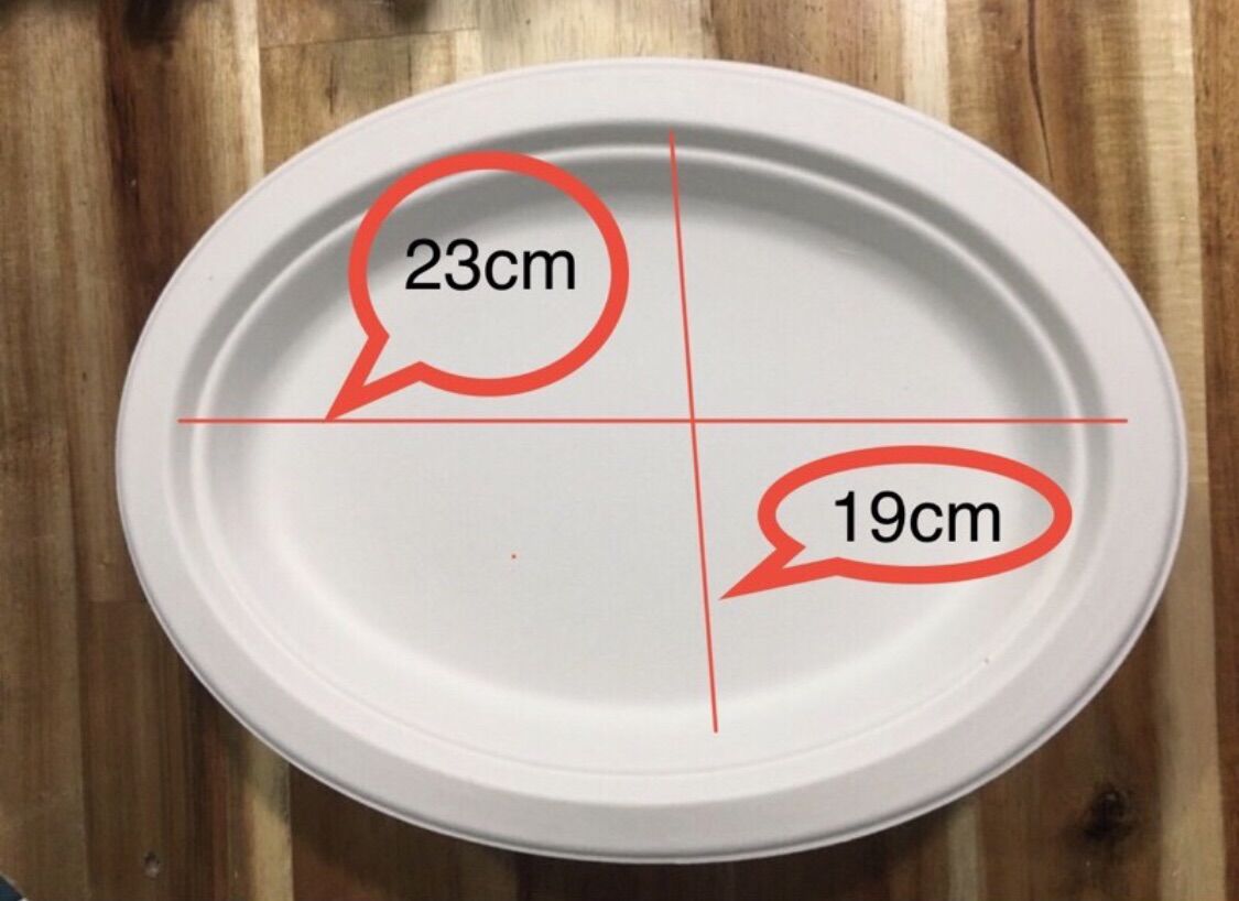 Set 5 dĩa bã mía xoài 23cm