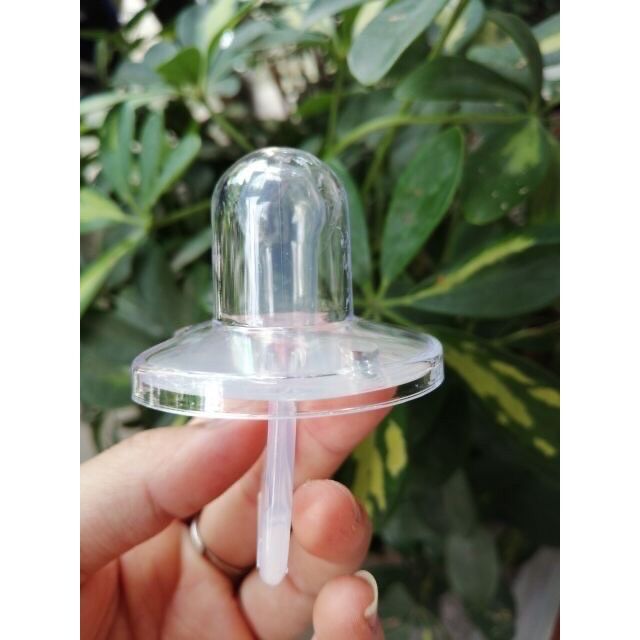 Ty ngậm silicon cacara đầu tròn/ dẹp