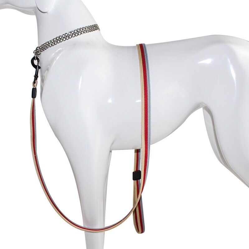 Parachute Leash with 1m7 Long Leash for Large Dogs