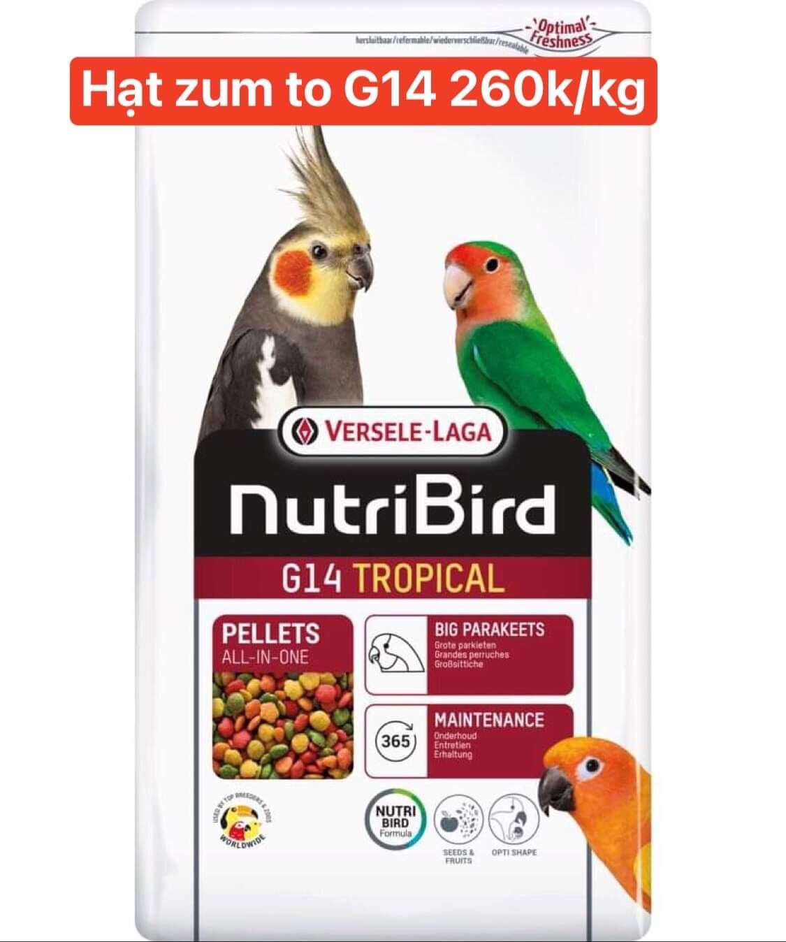 Hạt zum trái cây trộn vitamin sấy khô nhập bỉ cho vẹt