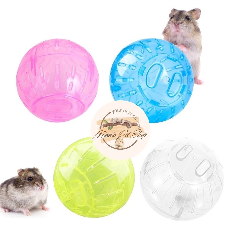 Banh nhựa 10cm đồ chơi lăn chạy trong nhà cho Hamster