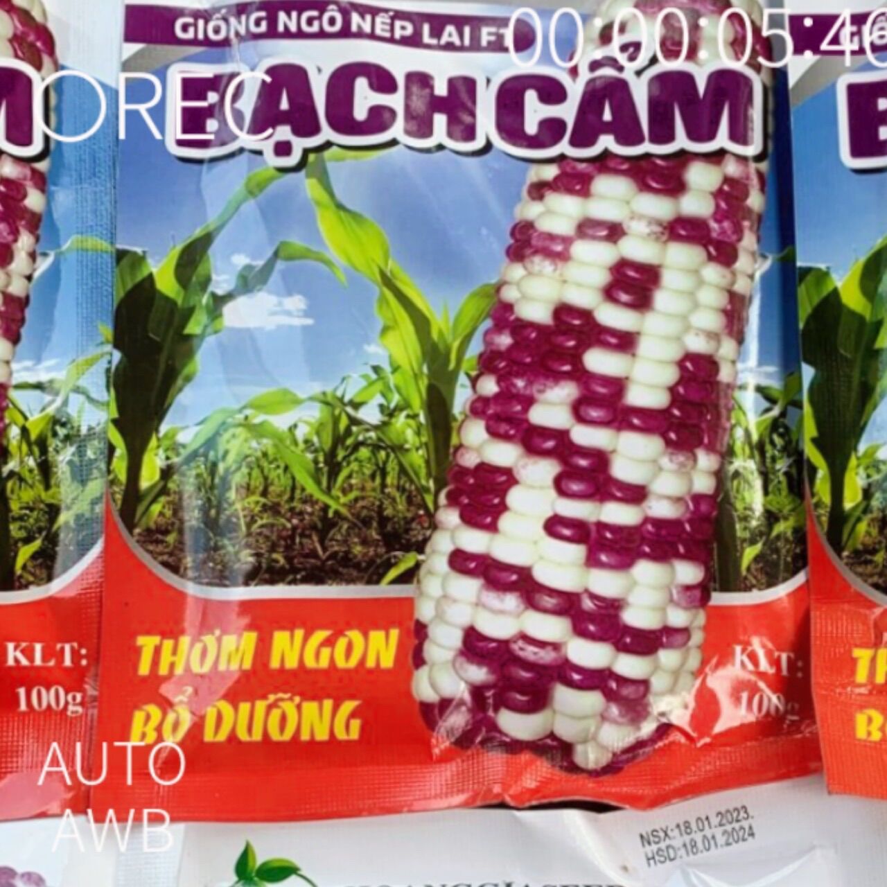 Ngô nếp , ngô bạch cẩm, Ngô nếp ngon , Ngô nếp tím , Ngô siêu ngọt , Ngô siêu ngon