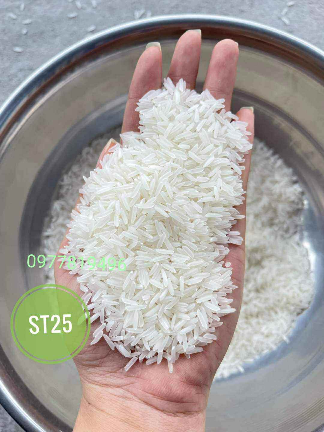 Gạo ST25 Lúa Tôm food bao 5kg