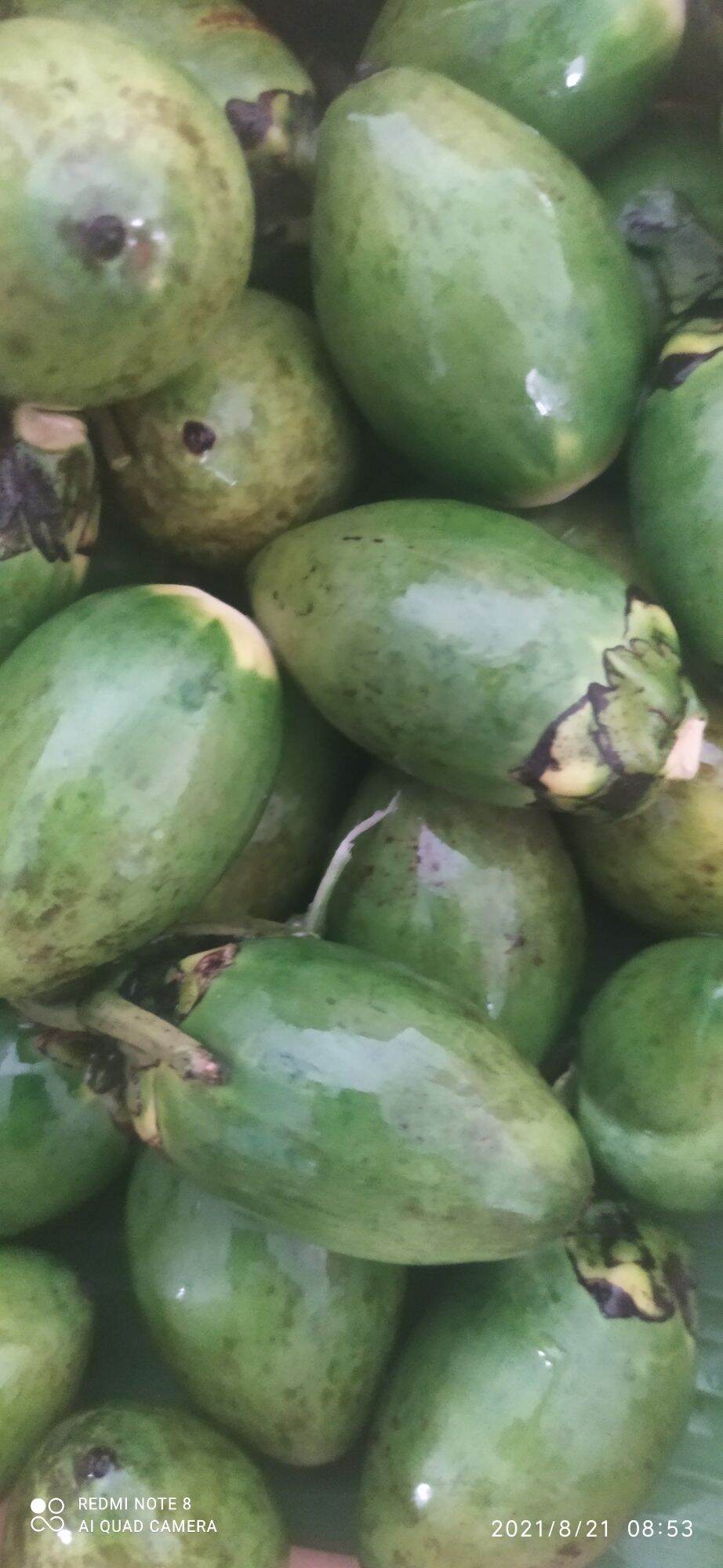 quả cau ăn trầu 1kg