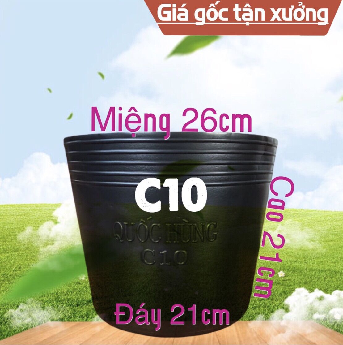 Combo 10 chậu nhựa c10 thương hiệu quốc hùng