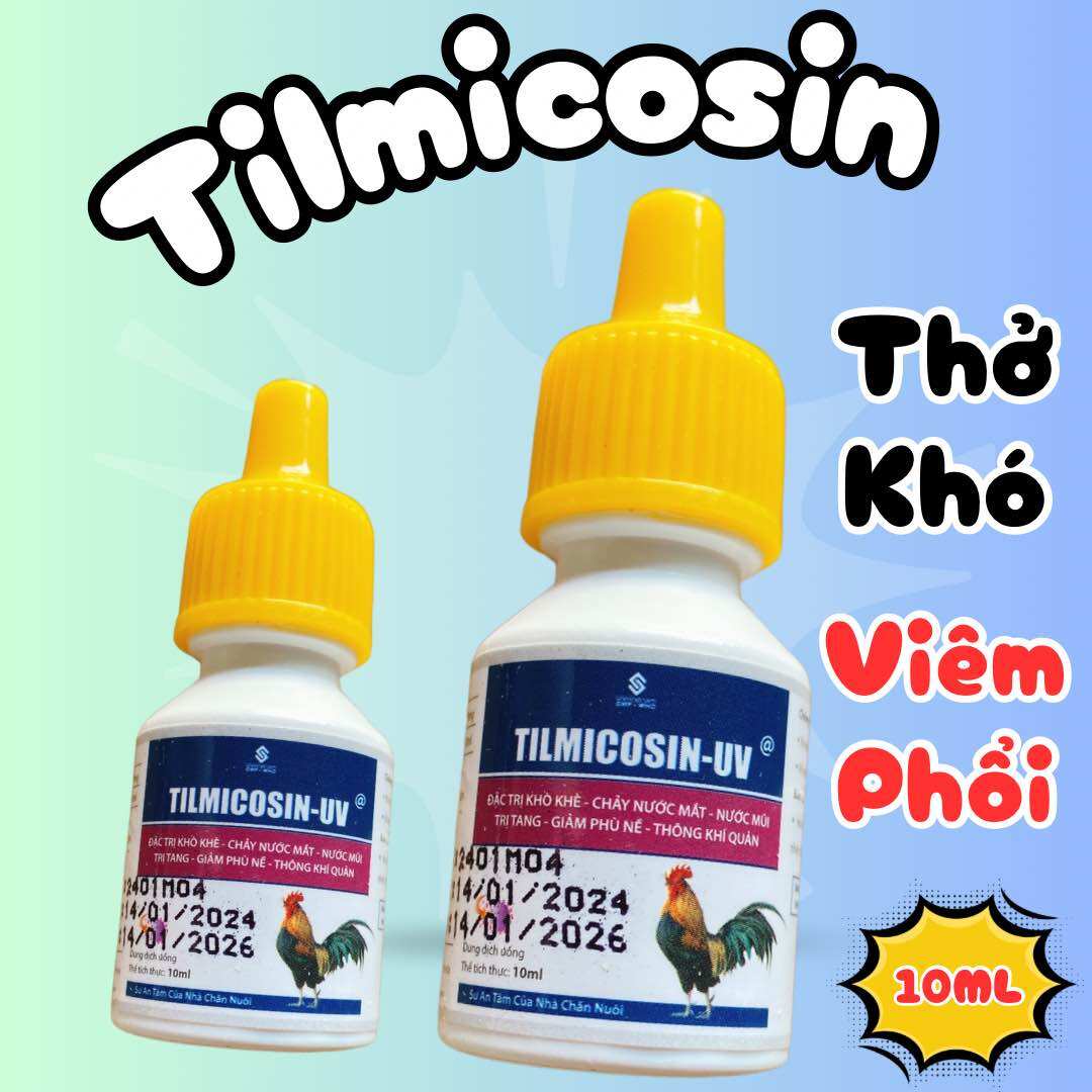 Tilmicosin sổ mũi, khò khè, sưng mặt, phù đầu gà đá, chim cảnh 10ml
