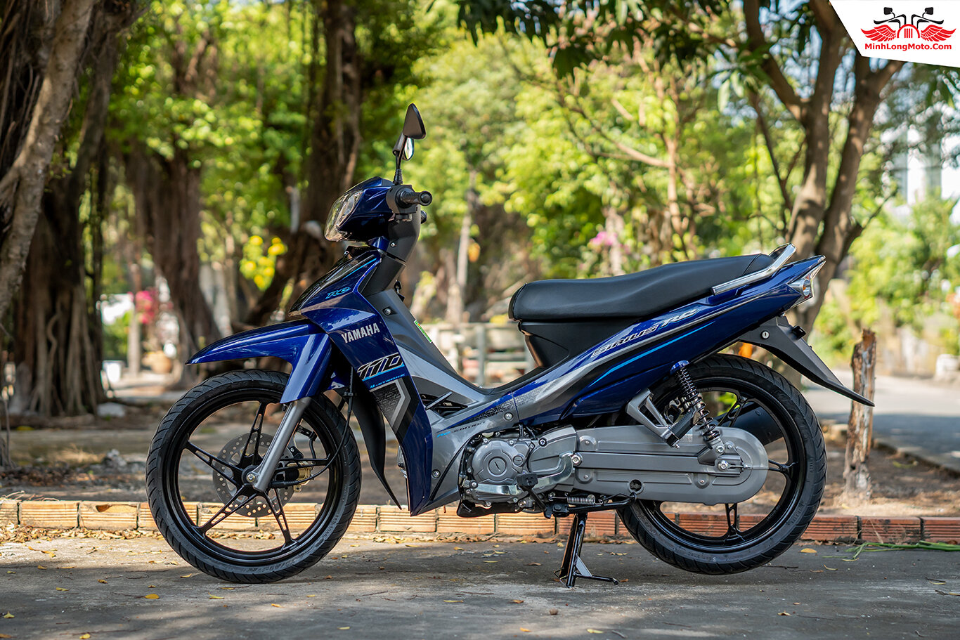 nút kèn cub 81 82