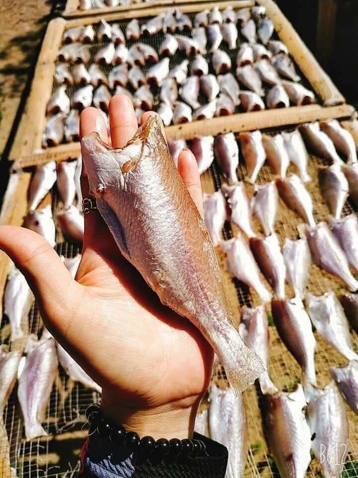 KHÔ CÁ ĐÙ 1 NẮNG SIZE ĐẠI 500gr