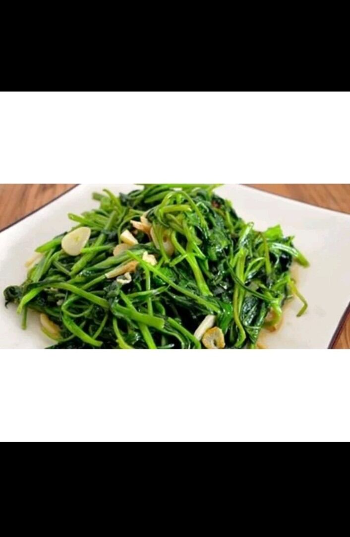 5 dây rau lang nhật siêu ngọn. trồng ăn đọt