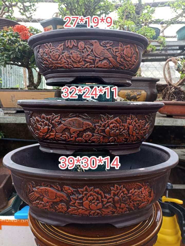 Bộ 3 chậu ovan chim hoa phú quý