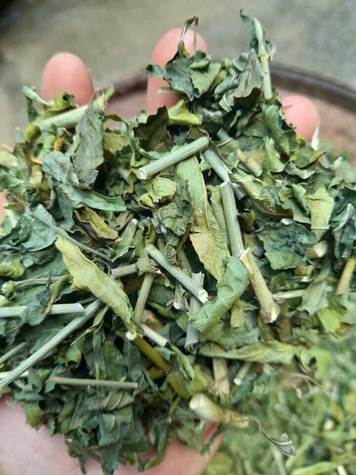 Cây xương khỉ bìm bịp