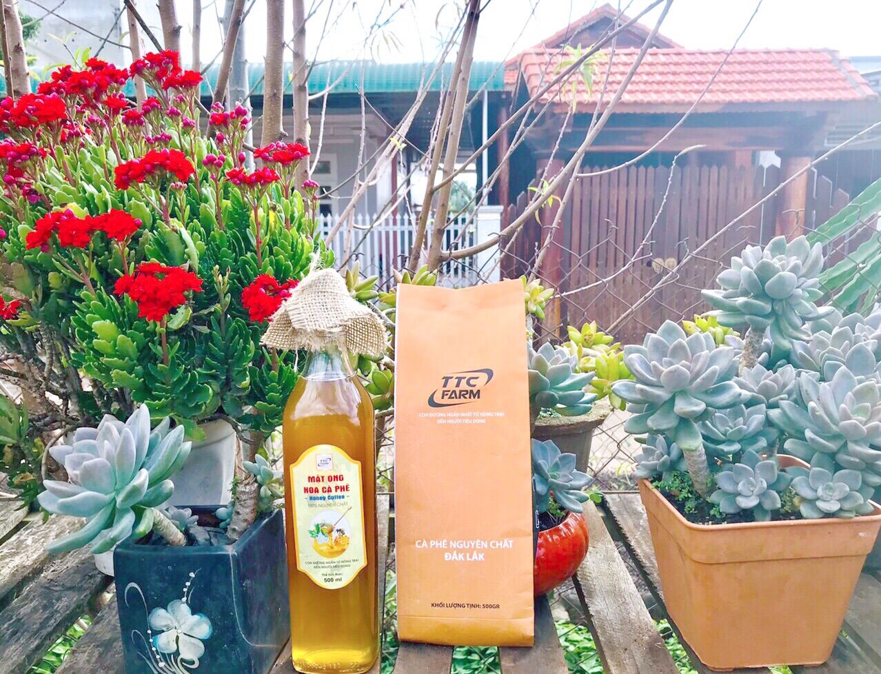 Combo 500ml mật ong + 500gr cà phê