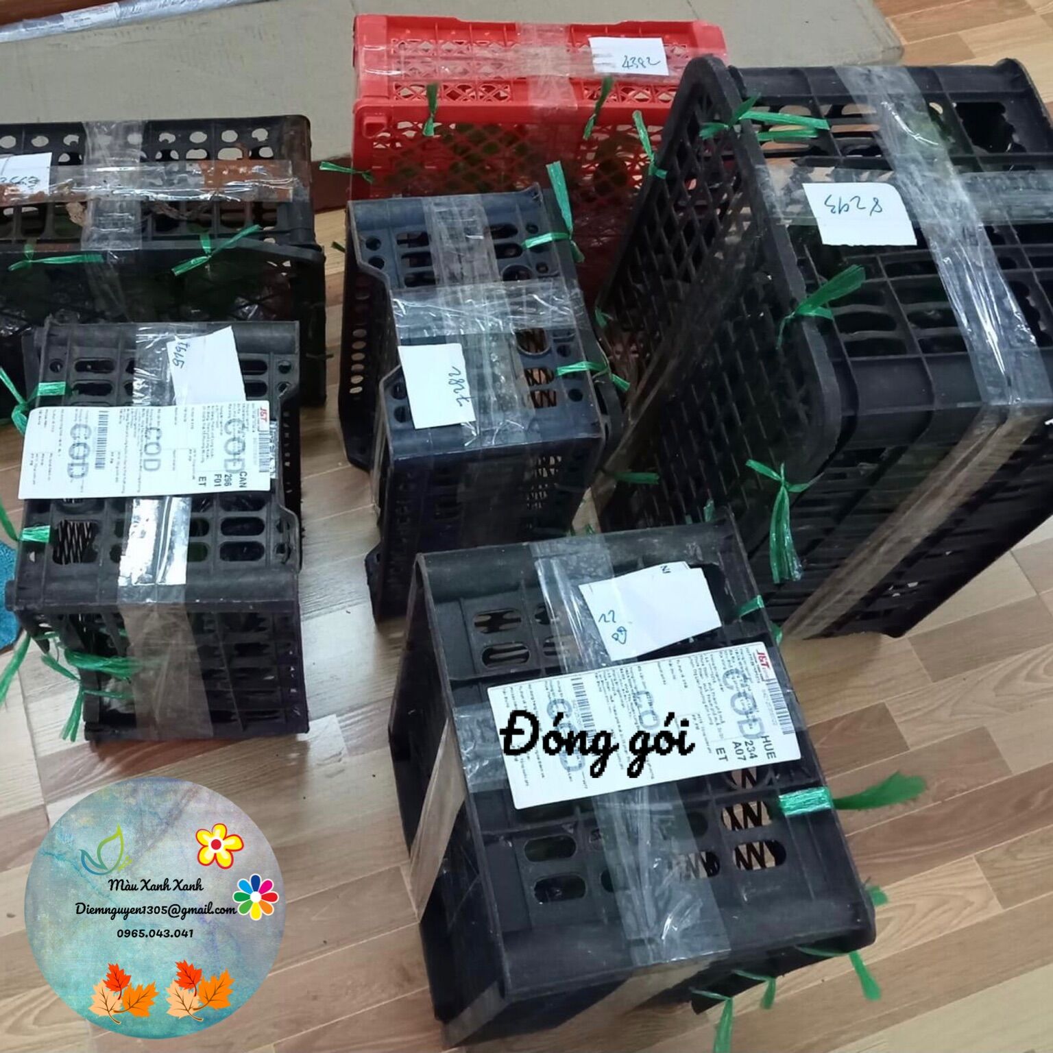 [CG] Ớt charapita (ớt pêru-ớt đắc nhất thế giới) giá 100k/chậu.