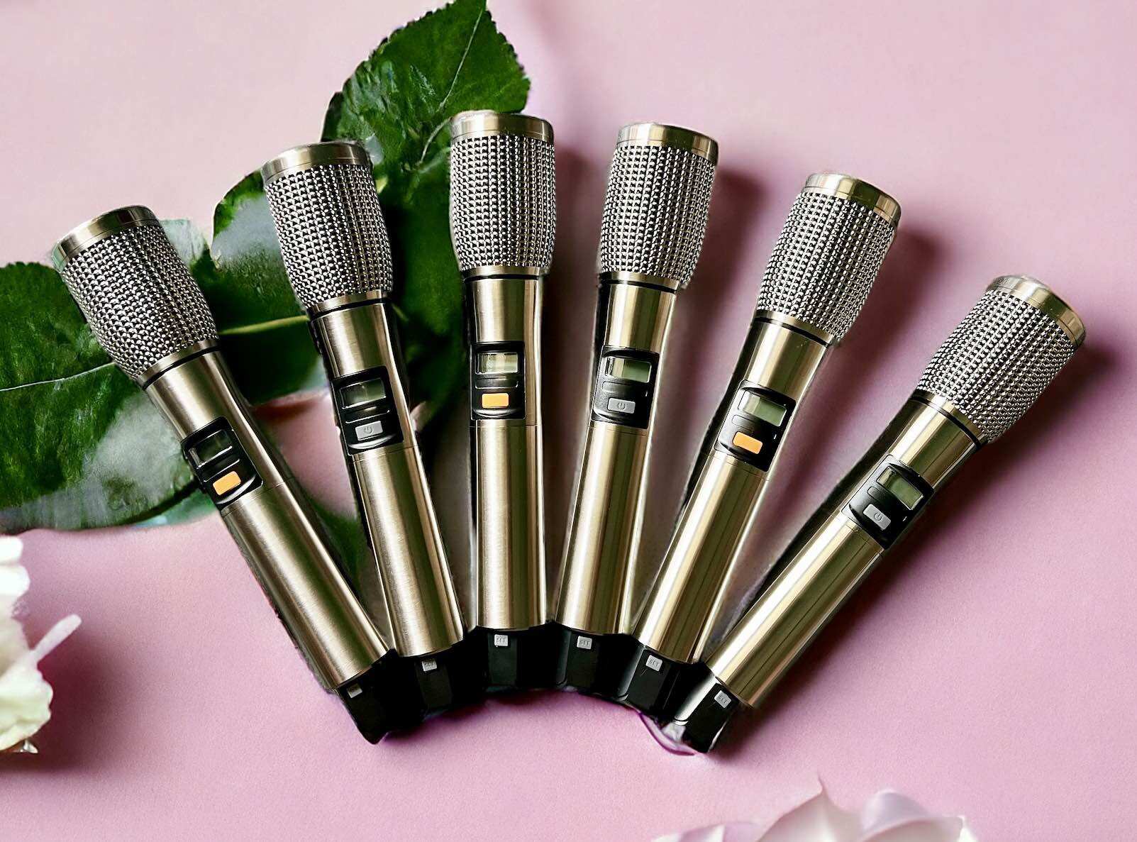 Micro loa kéo đẵng cấp nhất