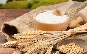Bột mì nguyên cám 5kg, bột lúa mỳ nguyên cám