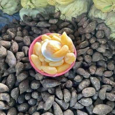 khoai sâm đất 1kg