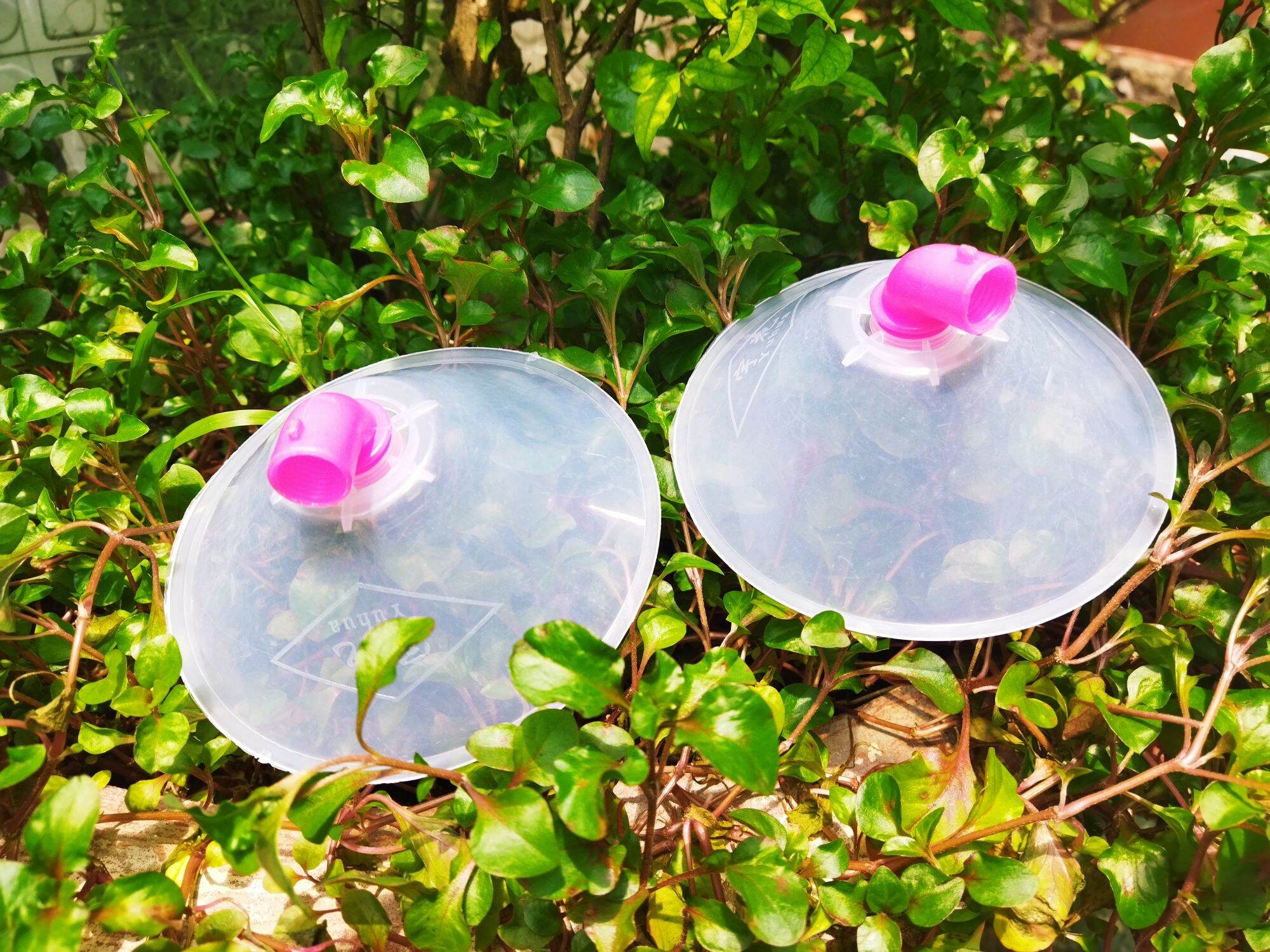 Combo 2 béc phun thuốc trừ sâu hình nón .