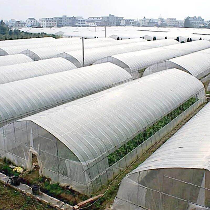 Màn Nhựa PE Khổ Lớn