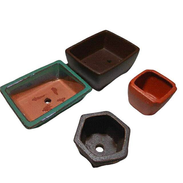 COMBO CHẬU MINI SỐ 2,CHẬU BONSAI MINI