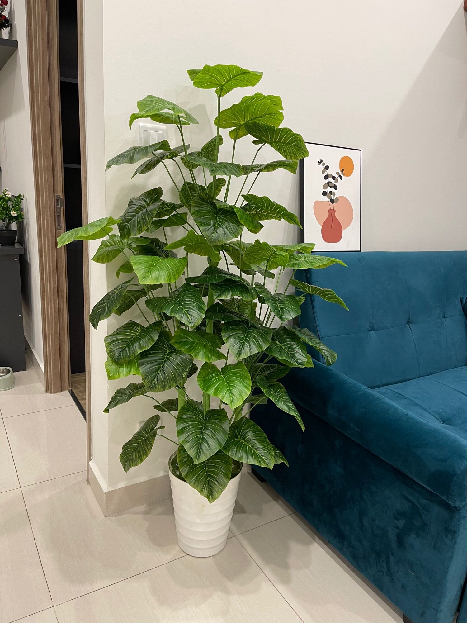 Cây trầu bà mẫu mới - cây trầu bà giả 1m5