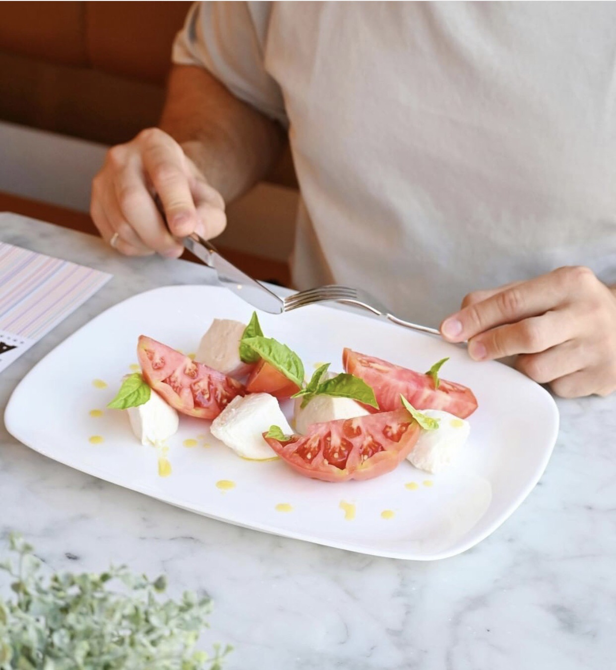 Đĩa thủy tinh chữ nhật Parma