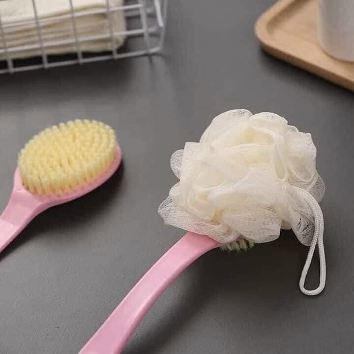 CÂY CỌ CHÀ LƯNG 2 ĐẦU TIỆN LỢI