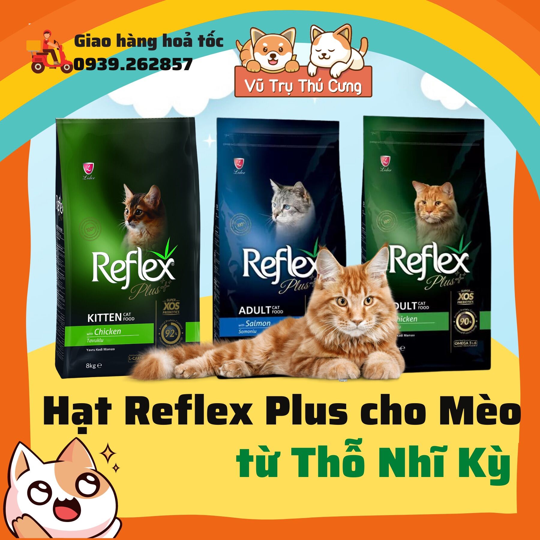 Hạt Reflex Plus cho mèo con, mèo lớn từ Thỗ Nhĩ Kỳ, bịch 1,5Kg, giàu protein động vật, bổ sung Omega 3, chất xơ hoà tan. thumbnail