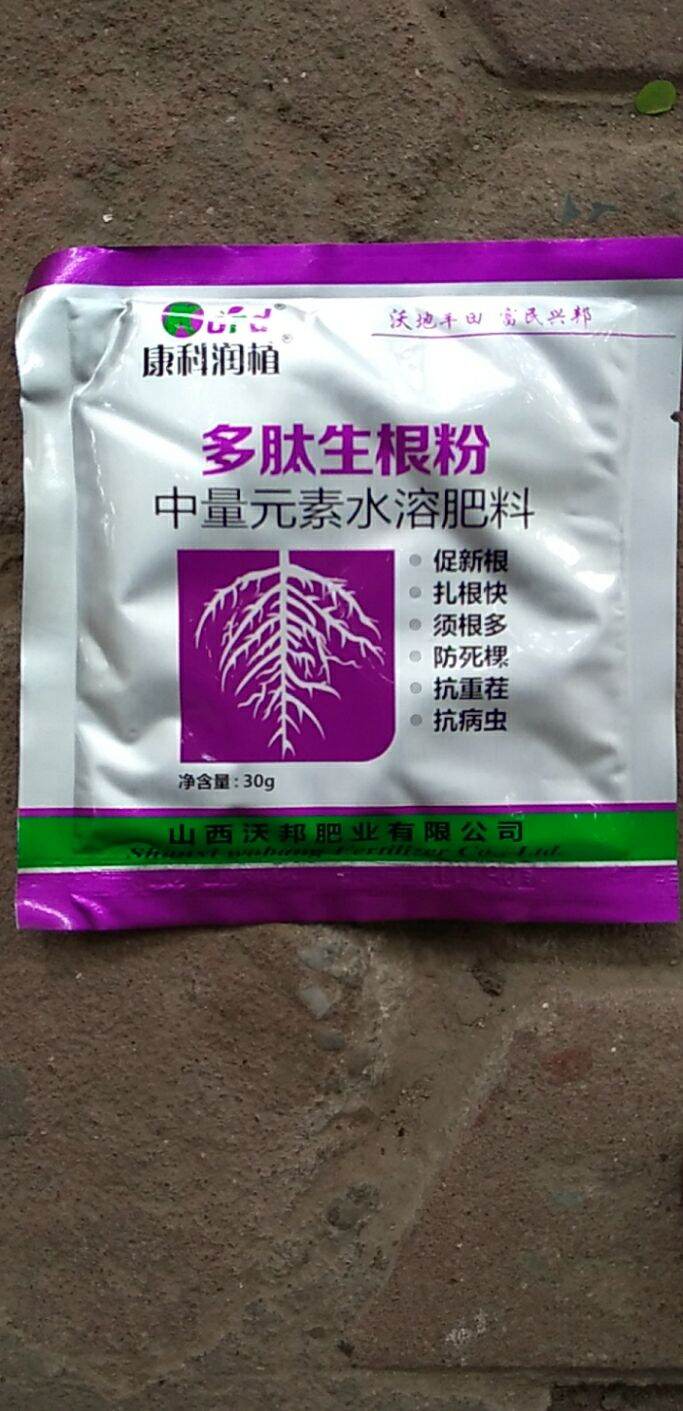 Siêu kích thích ra rễ nhập trâu trung quốc gói 30gr