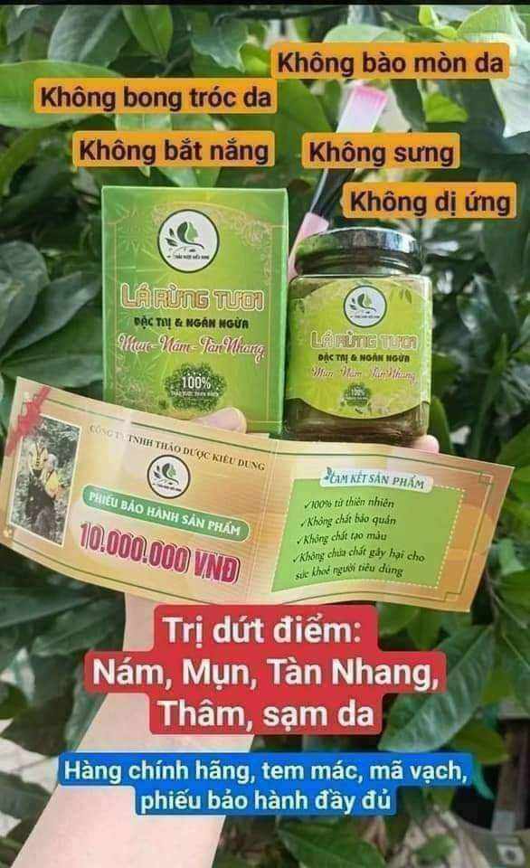 CAO LÁ RỪNG TƯƠI KIỀU DUNG