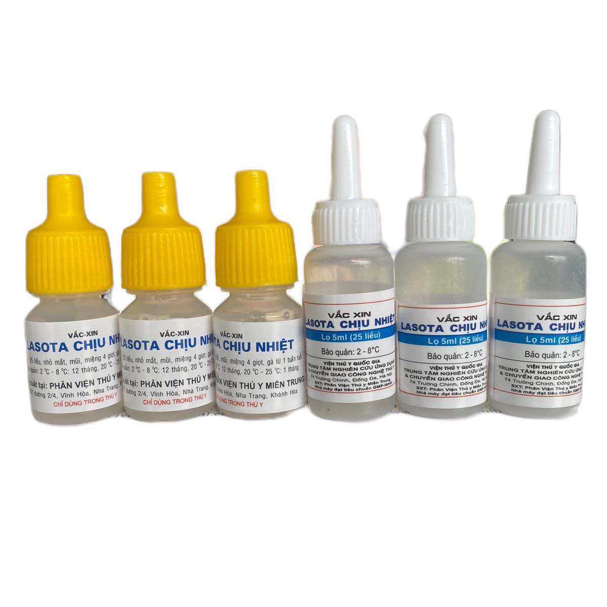 1 Lọ Lasota Chịu Nhiệt Liều 25 Con Phòng Newcastle Cho Gà Chọi Gà Đá Chim Cảnh Chim Bồ Câu