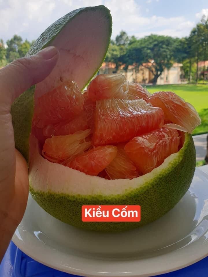 Bưởi da xanh bến tre loại 1