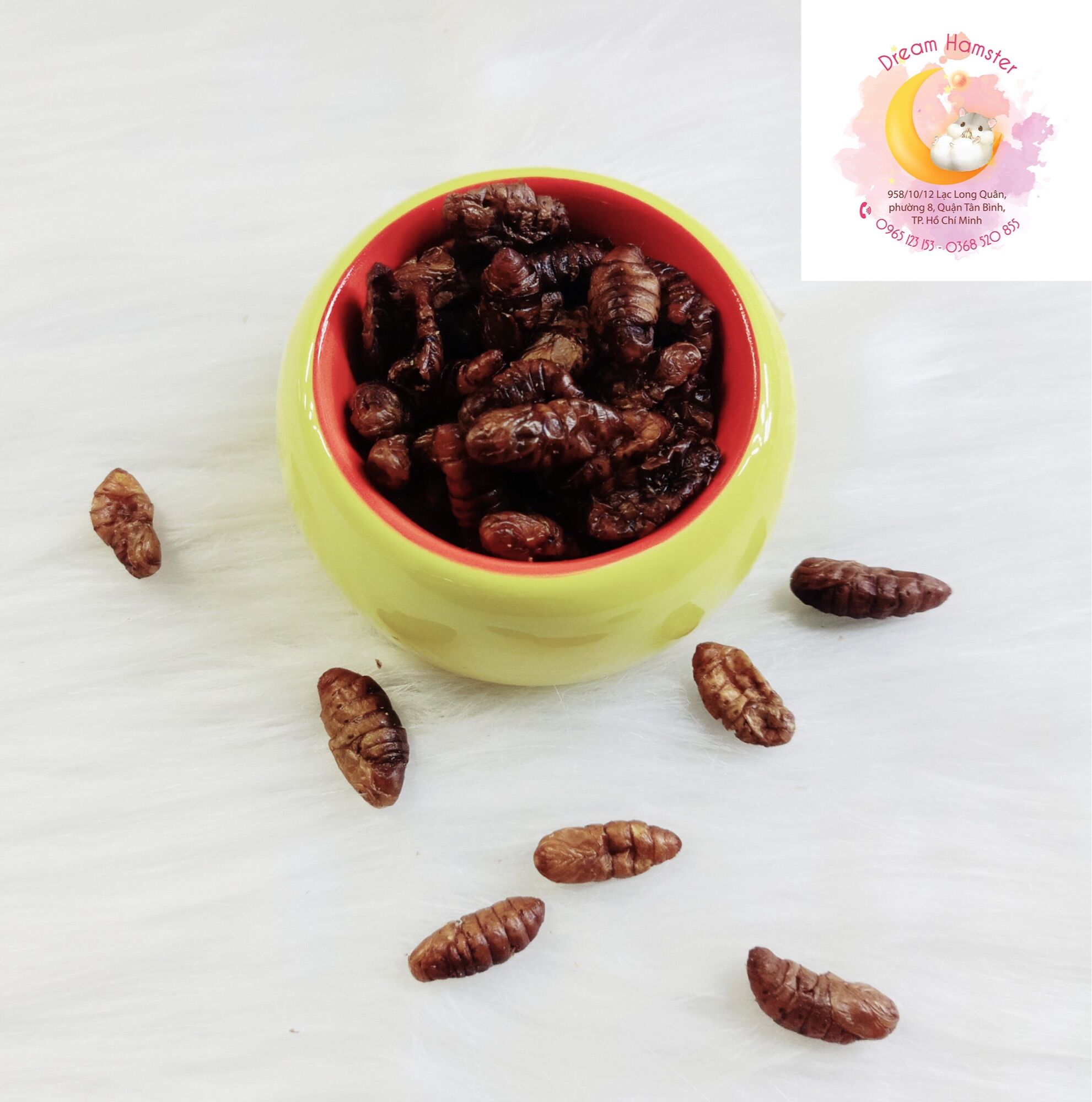 Nhộng tằm sấy cho hamster (20gr)