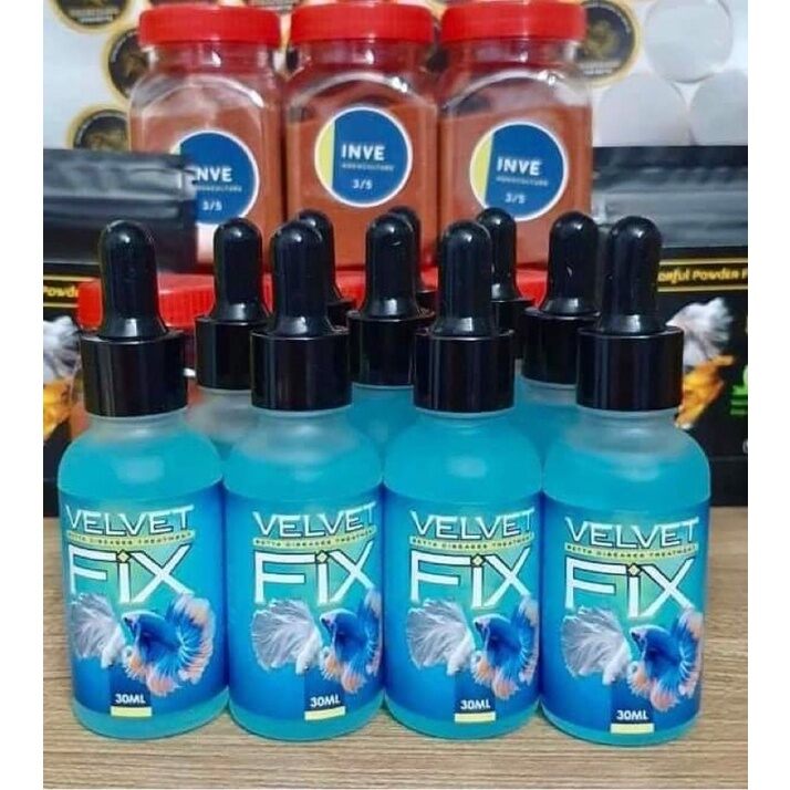 Dung dịch tr.ị nấm cho cá Betta *VelvetFix hiệu quả.