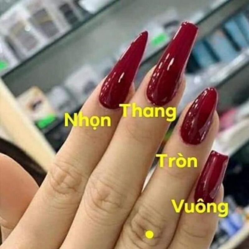 Móng úp HSM VUÔNG, NHỌN, THANG
