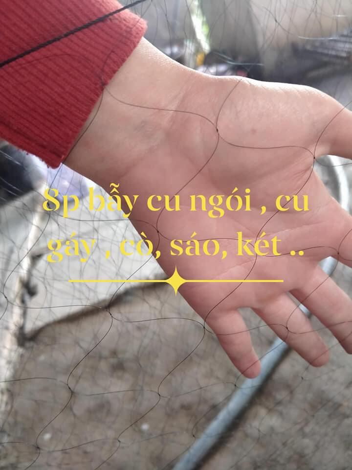 60m lưới tàng hình bẫy chim cu,cò,sáo, két, bồ câu cao 6m mắt lỗ 8 phân