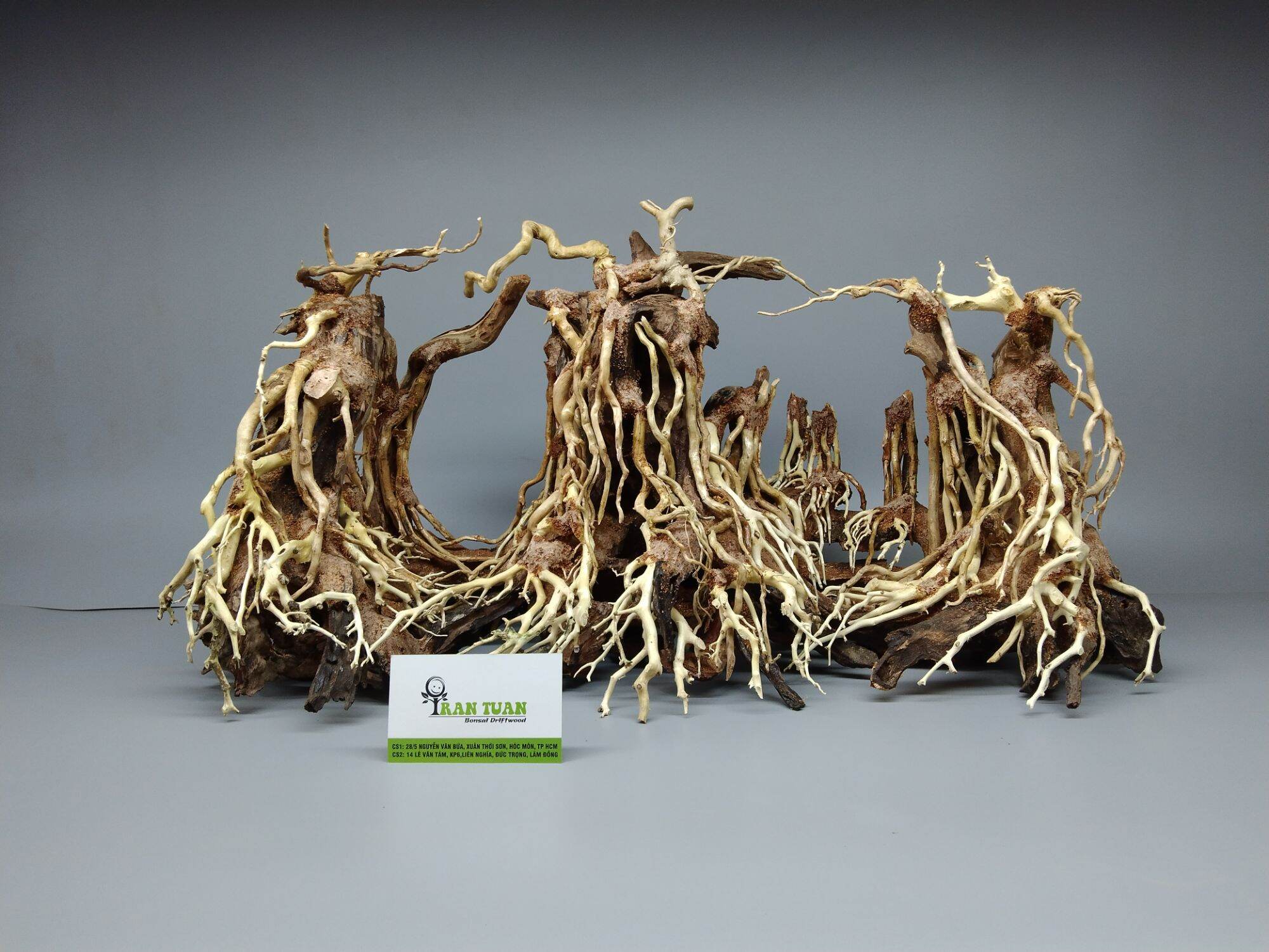 cây gỗ lũa bonsai cho hồ cá cảnh, hồ thủy sinh dạng Layout