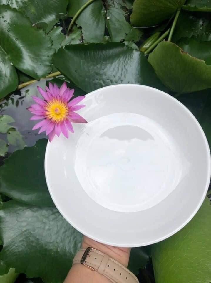 Combo 4 dĩa sứ Indonesia 8 inches