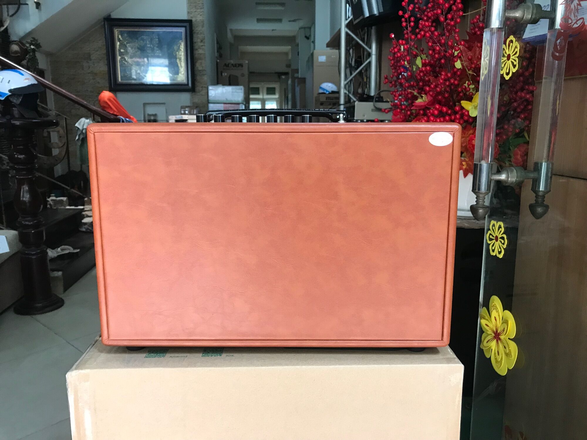 Loa di động Xách Tay Acnos CS200PU ( CS200SON)