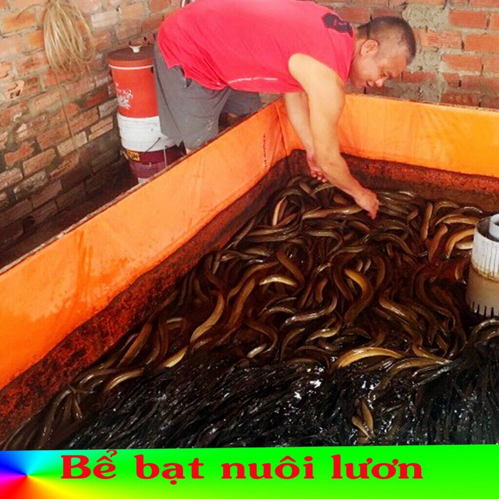 Bể bạt nuôi ốc ếch cá lươn 3x2x1 xanh cam