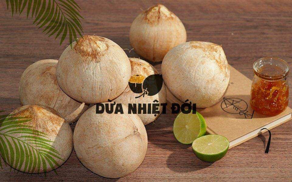 DỪA XIÊM GỌT TRỌC SIZE LỚN (400-500G) | DỪA XIÊM BẾN TRE
