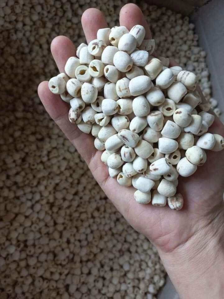500gr hạt sen