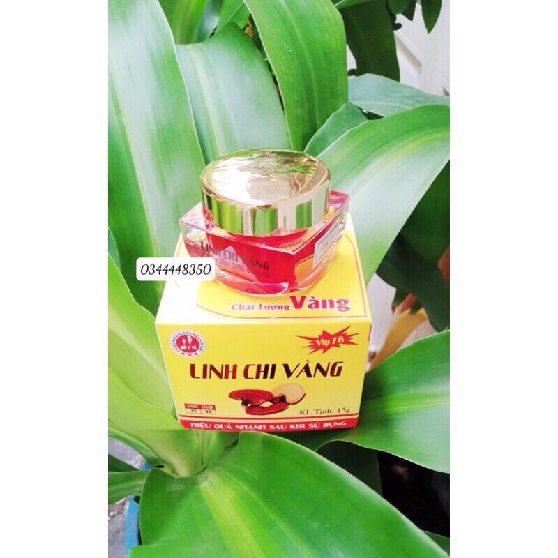 Kem Nám Linh Chi Vàng 15g