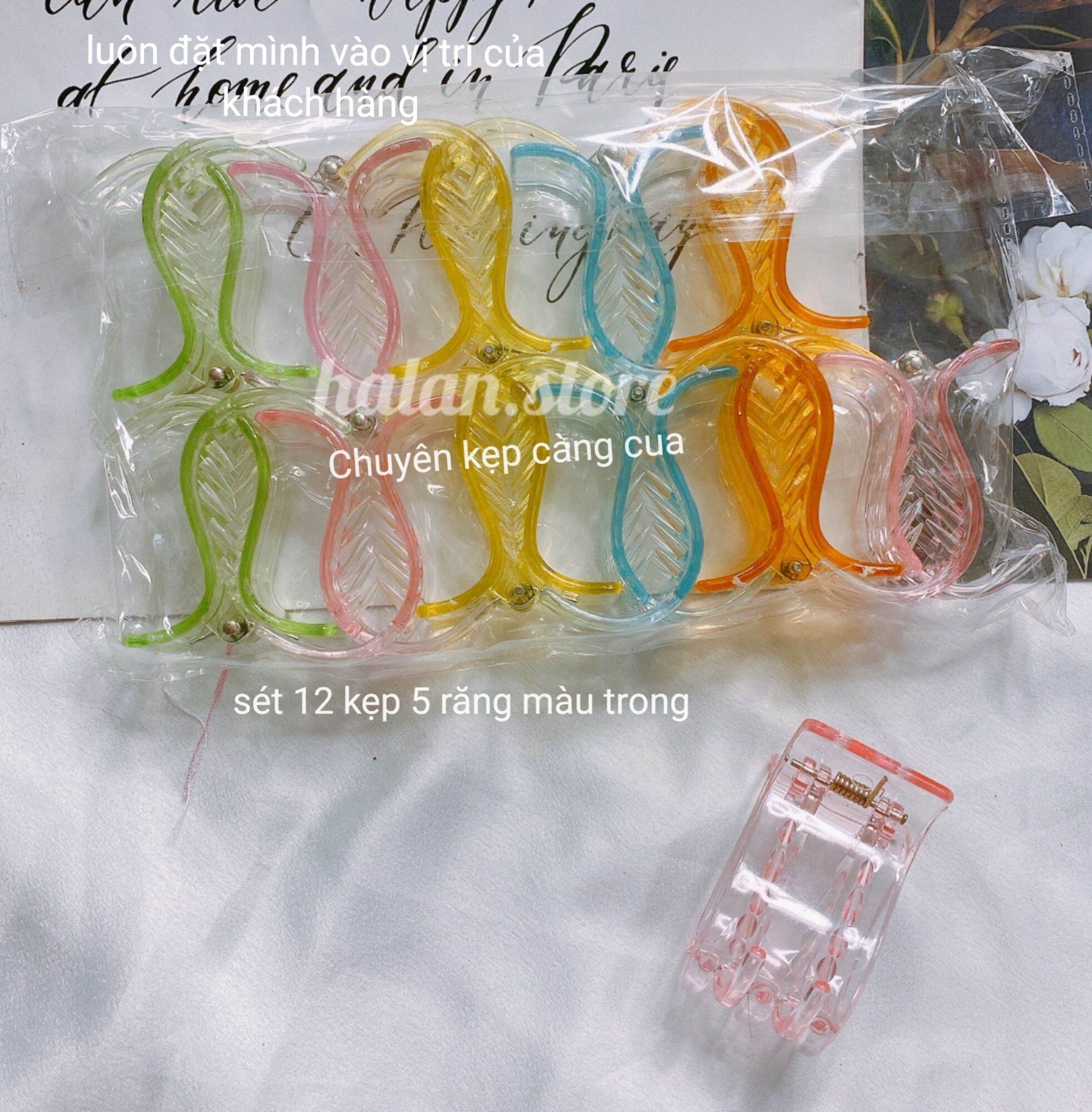 Vỉ kẹp càng cua 5 răng nhiều màu nhựa trong 12 cái