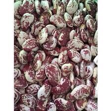 ĐẬU NGỰ TÚI 1KG - NÔNG THÀNH