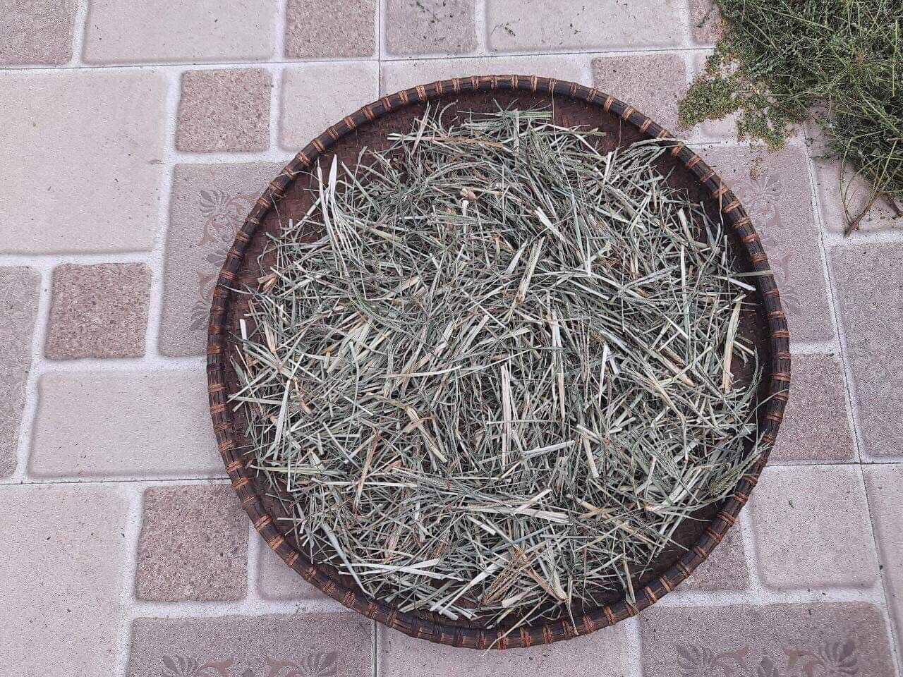 Cỏ mần trầu khô 500g