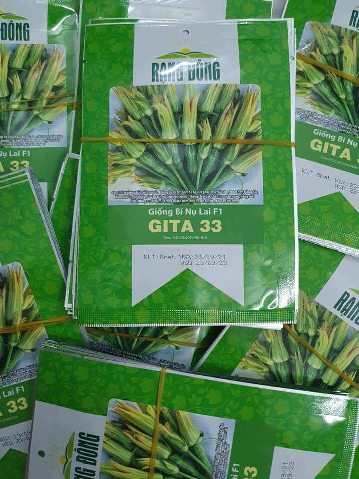 Hạt giống bí siêu nụ