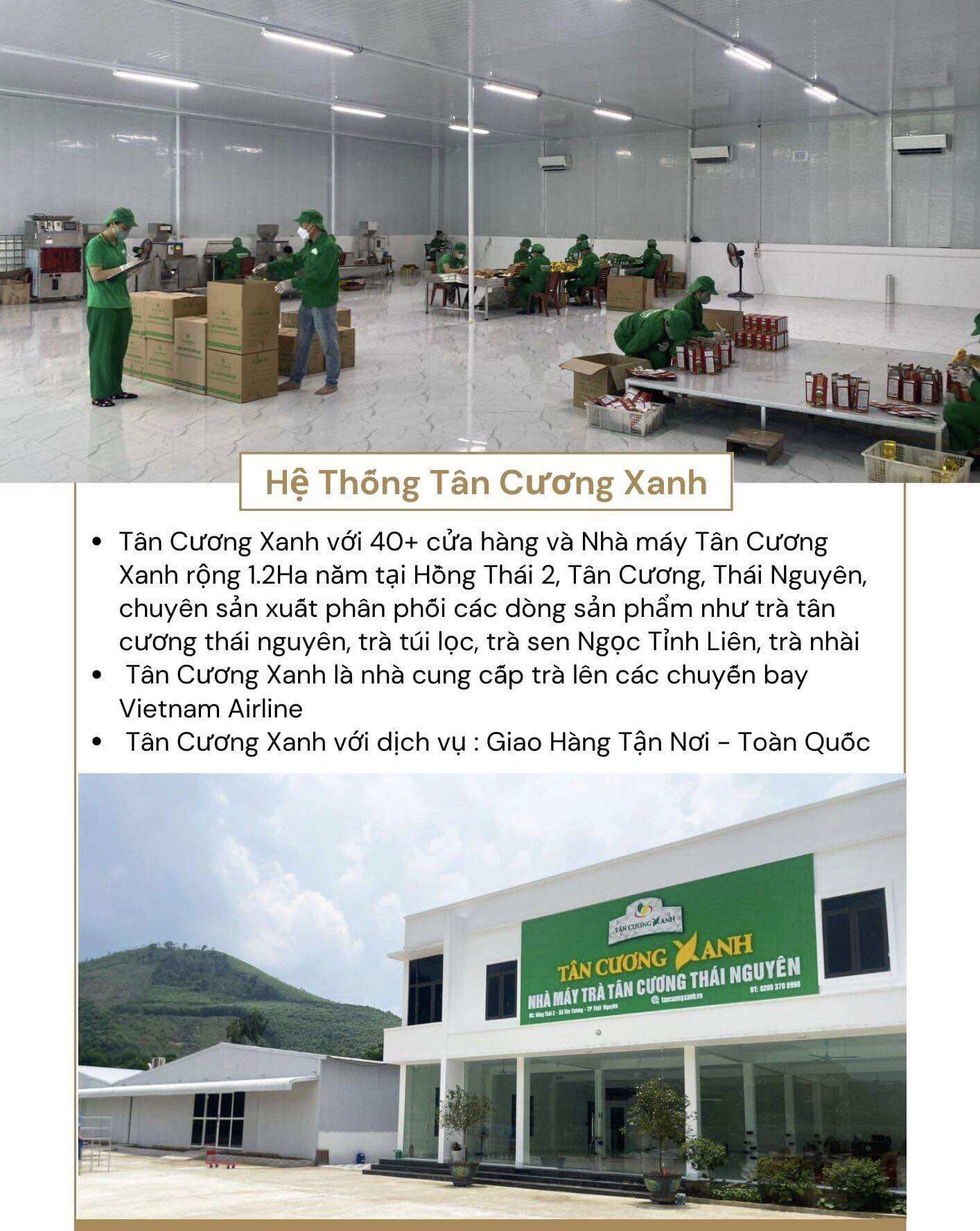 Trà Tân Cương Ướp Sen Ngọc Tỉnh Liên 100gr