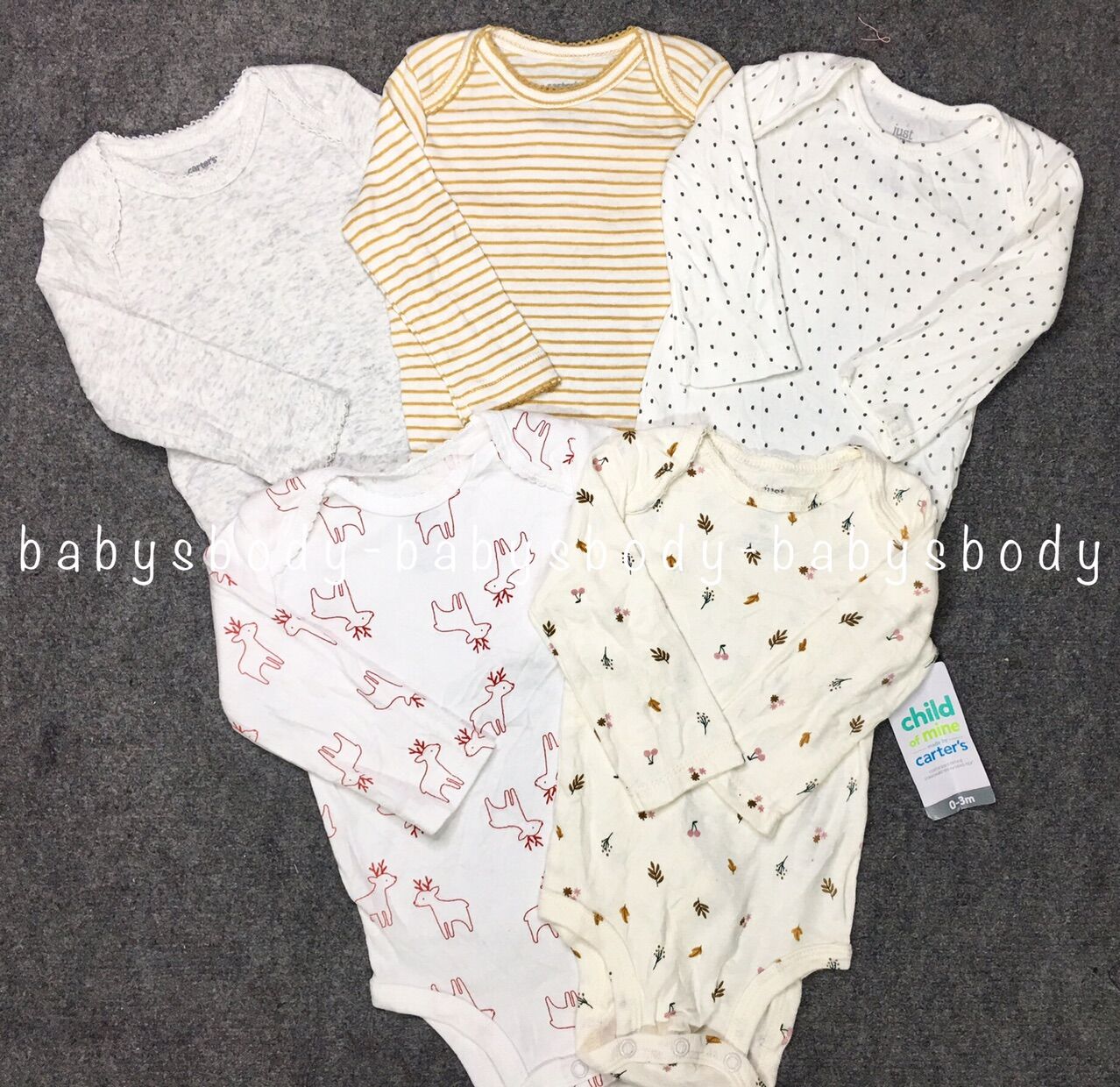 Body chip xuất dư Carter