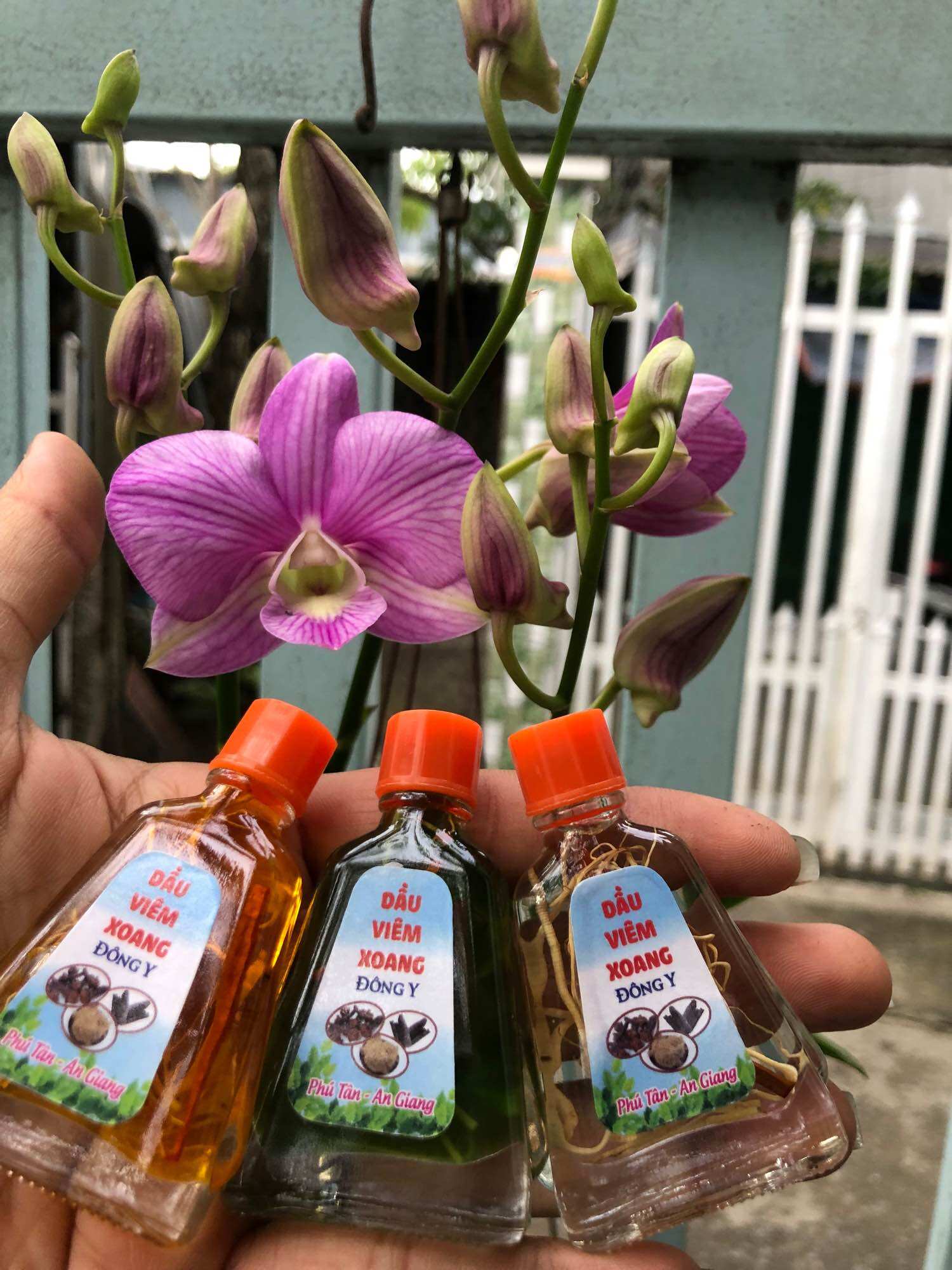 COMBO 5 CHAI DẦU VIÊM XOANG TRẮNG 7ML (RỄ)